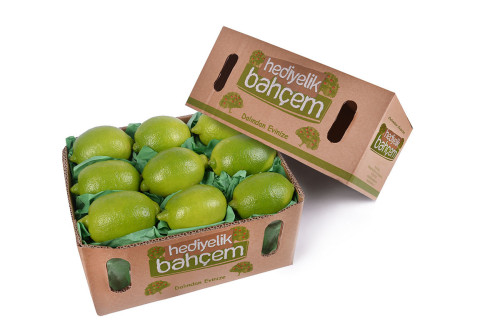  - 10Kg Enter Limon