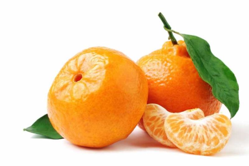 5Kg Rize Mandalina