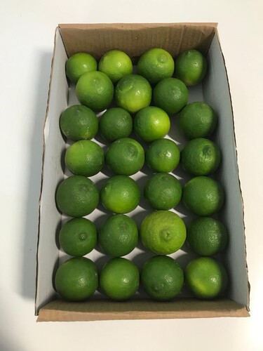  - 2Kg Lime Limon